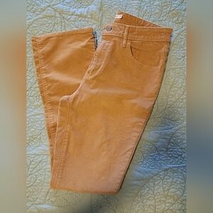 NWT levi Strauss & co CORDUROY JEANS brand new HIGH RISE bootcut SIZE 12